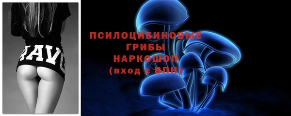 дмт Абаза
