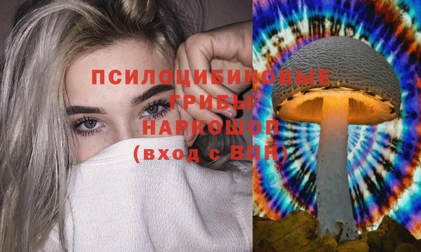 дмт Абаза