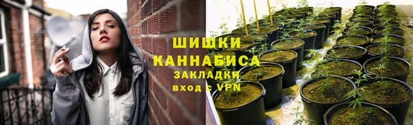 дмт Абаза