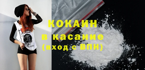 дмт Абаза