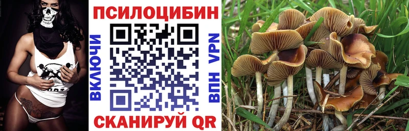 Псилоцибиновые грибы ЛСД где можно купить Шарыпово