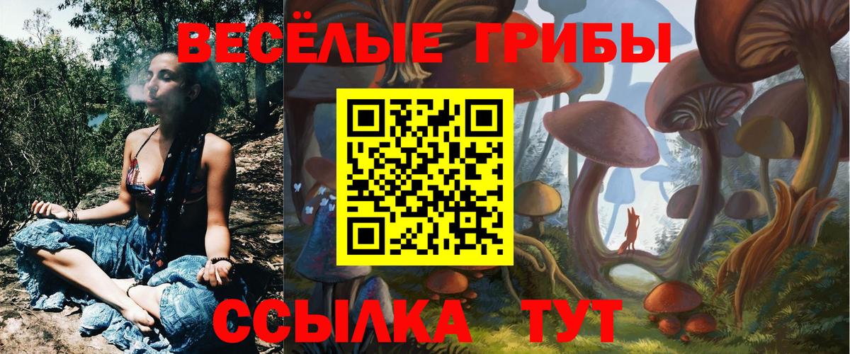 где найти   Вход с VPN  Шарыпово  Галлюциногенные грибы Cubensis 
