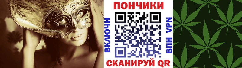 Бошки марихуана план  цены наркотик  Шарыпово 